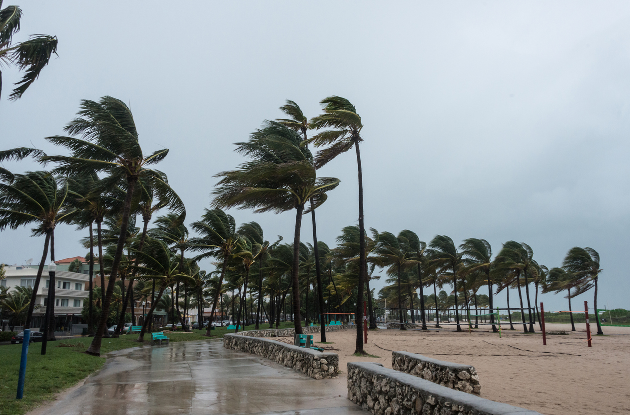 Florida hurricane winds on the beacj