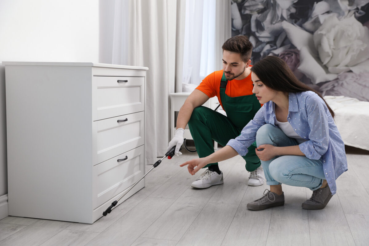 How to Keep Flies Away and Prevent an Infestation